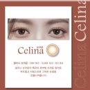 렌즈베리(놀이터점) 네이버블로그