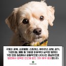 가평동물병원 이미지