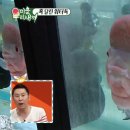 헤라플라워