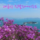 [거제] 대금산 진달래+이수도+매미성 이미지