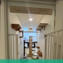 고양이호텔 외갓집 이미지