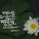 인연 이미지