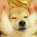 큰둥이