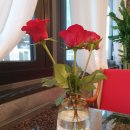 티라임스 이미지