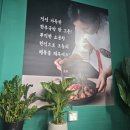 에이치오 푸드 이미지