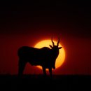 희망경영컨설팅 이미지