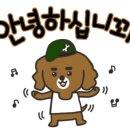 키드바이올렛 이미지