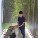 힐링안마 이미지