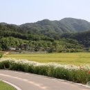 [식물해방일지⑥] 여행, 자연과 동행하다...식물 존중 실천 방안 ‘생태관광’