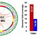 미생물연구관 이미지
