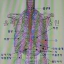 다섯 발가락의 지압효과 이미지