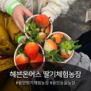 삼싹농장 이미지