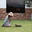 스테이 아이올라 이미지