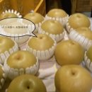 제일배농원