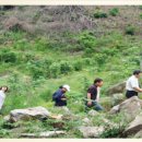 약초활용 생활건강법 이미지