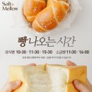 [용인] 솔트앤멜로우 빵집 솔직 후기ㅣ고소한 버터향 가득한 생식빵