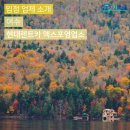 현대렌트카여수엑스포영업소 네이버블로그