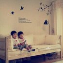 초록나라 | 원주 관설동 화훼단지 초록나라 식물원 졸업 입학 꽃다발 추천 / 내돈내산 후기 💐
