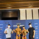 PT전문 레몬 이미지