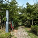 [출발-서울] 앵봉산.봉산 숲길 구간(8/3 토요일) 이미지