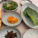 123 | 부산오징어볶음 잘하는 부산용호동맛집 오복당