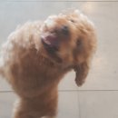 까미컴퍼니 이미지