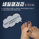 이미호아이래쉬 인천송도점 | 송도최초 무제한 아트샵 추가금액없이 네일아트 할수있는 곳 네일갤러리 패디후기 가격정보 주차정보