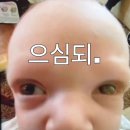 태풍셀프식당