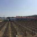 주식회사 진성산업 이미지