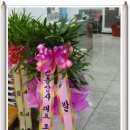 한솔상사 이미지
