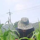 봉곡동224 이미지