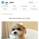 그루밍도그 이미지