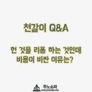 천지쇼파천갈이 이미지