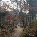 2019년 11월 제211차 순천 조계산(884m)+순천만 정기산행 이미지