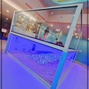테마파크 | 부천키즈카페 플레이월드 부천점 | 범퍼카·짚라인까지, 테마파크 뺨치네!