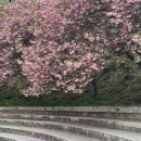 정안생태공원 공중화장실(1) | 창원 겹벚꽃 명소 총정리｜김해 카페모하까지 포함한 봄 나들이 코스 추천