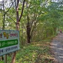 문화안길23 이미지