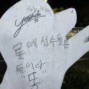 사직종합운동장 이미지