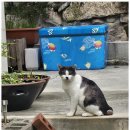 뮤즈 펜션 이미지