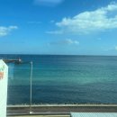 삼양택시 | [제주] 삼양해변 오션뷰 펜션 더블루 304호 솔직 후기｜10만원대 숙소, 뚜벅이 여행, 반려견 동반 가능