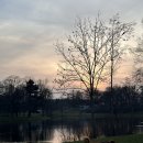 (주)더와이비메디칼 | [독일 뮌헨대 교환학생] #1 누나오늘뭐해요? 장봐.. 내일은요? 장봐.. 누나직업이장보기예요?