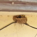 옥공예 명인 이미지