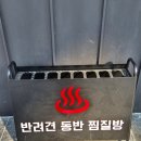 부산애견 | [부산 애견동반] 부산 애견동반 카페&amp;찜질방 후기