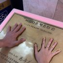 잭팟 | [정선] 생애 첫 강원랜드 카지노 입성, 40배 잭팟 터진 후기