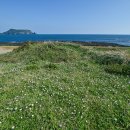 지코커피 이미지