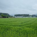 희봉농장 이미지