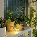 배길동농장 | 2023.12.31 | 끝과 시작이 아닌, 하고 있는 것에 집중 한:할 12월과 1월