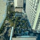 팔레드시즈 이미지