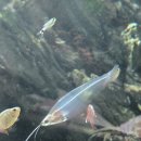 일중로 | 일산 베이커리 수족관카페 아쿠아가든 6개월아기와 방문후기