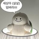 살롱드멍멍 | 시그니엘 서울 1박 3월 방문 후기